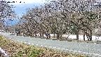 takano5-20250413154110.jpg