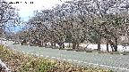 takano5-20250413155112.jpg