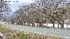 takano5-20250413160112.jpg