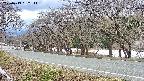 takano5-20250413162112.jpg