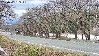 takano5-20250413163113.jpg