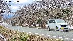 takano5-20250413164112.jpg
