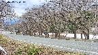 takano5-20250413170112.jpg
