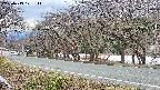 takano5-20250413171113.jpg