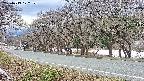 takano5-20250413172111.jpg