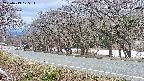 takano5-20250413175113.jpg