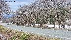 takano5-20250413180113.jpg