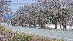takano5-20250413181111.jpg