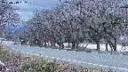 takano5-20250413182111.jpg