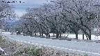 takano5-20250413183110.jpg