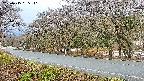 takano5-20250415065111.jpg