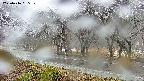 takano5-20250416065110.jpg