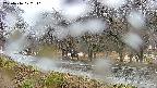 takano5-20250416072111.jpg