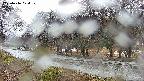 takano5-20250416074110.jpg