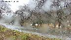 takano5-20250416090113.jpg