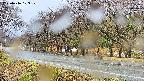 takano5-20250416103111.jpg
