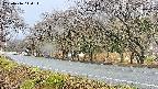 takano5-20250416110114.jpg