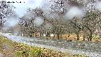 takano5-20250416120111.jpg
