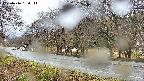 takano5-20250416130113.jpg