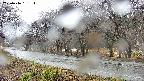 takano5-20250416131113.jpg