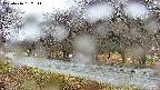 takano5-20250416132112.jpg