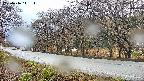 takano5-20250416141113.jpg