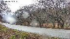 takano5-20250416143113.jpg