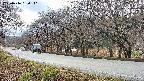 takano5-20250416150111.jpg