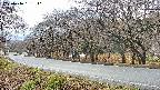 takano5-20250416151111.jpg