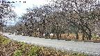 takano5-20250416152112.jpg