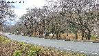 takano5-20250416154113.jpg