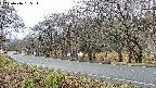 takano5-20250416155113.jpg