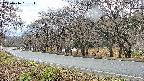 takano5-20250416161114.jpg