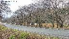 takano5-20250416162115.jpg