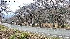 takano5-20250416163113.jpg