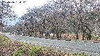 takano5-20250416164112.jpg