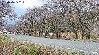 takano5-20250416172113.jpg