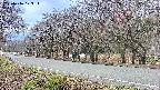 takano5-20250416173114.jpg