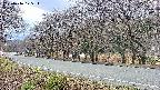 takano5-20250416175114.jpg
