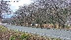 takano5-20250416180113.jpg