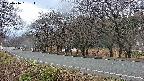 takano5-20250416181113.jpg