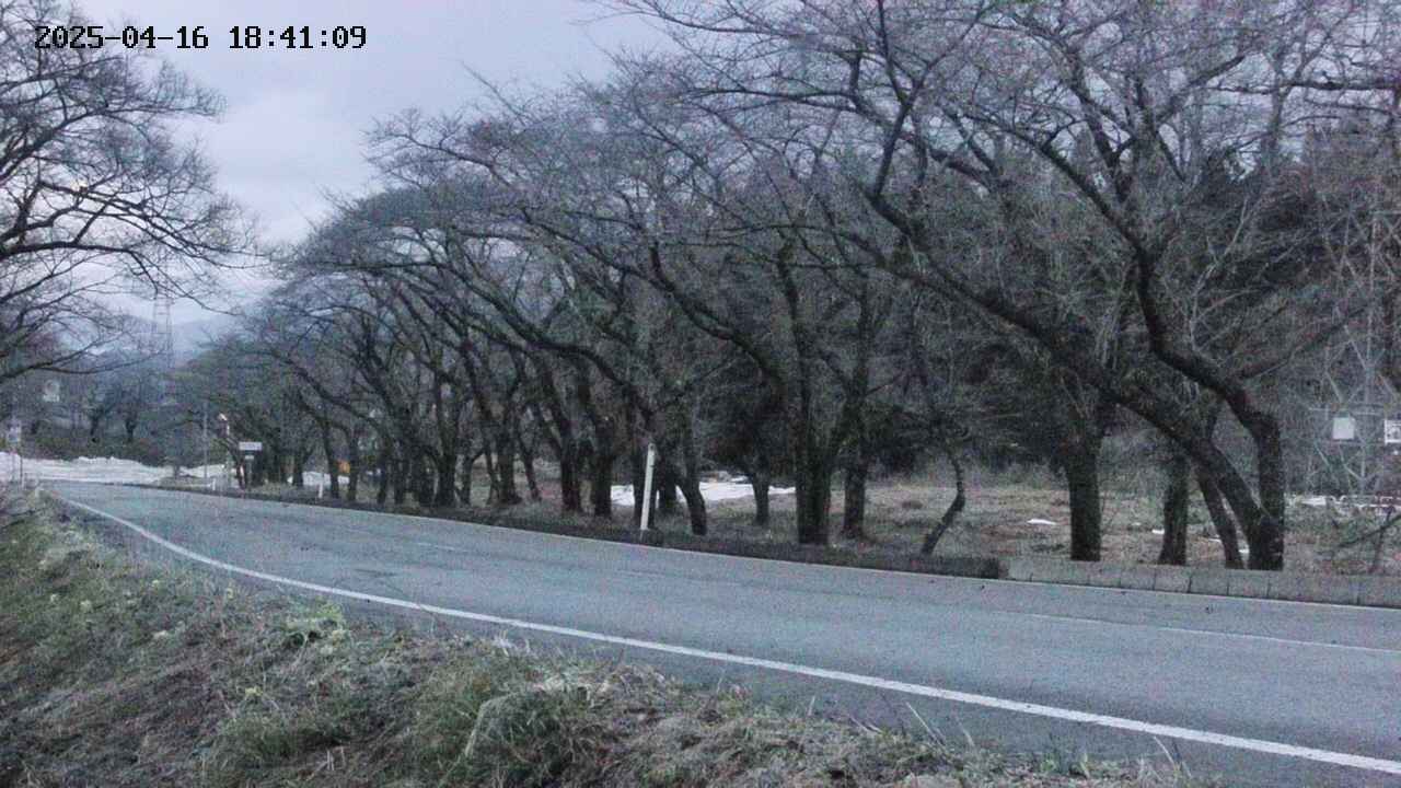takano5-20250416184110.jpg
