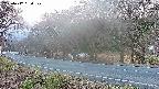 takano5-20250417050109.jpg