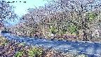 takano5-20250417062112.jpg