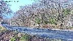 takano5-20250417065111.jpg