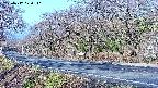 takano5-20250417070111.jpg