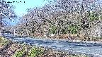 takano5-20250417072113.jpg