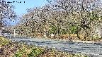 takano5-20250417074113.jpg