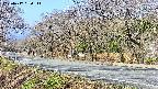 takano5-20250417080112.jpg