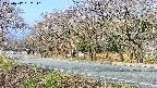 takano5-20250417082111.jpg